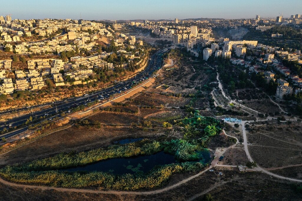 Uitdrukking Huiskamer Dageraad Endangered gazelles spring back in Jerusalem park