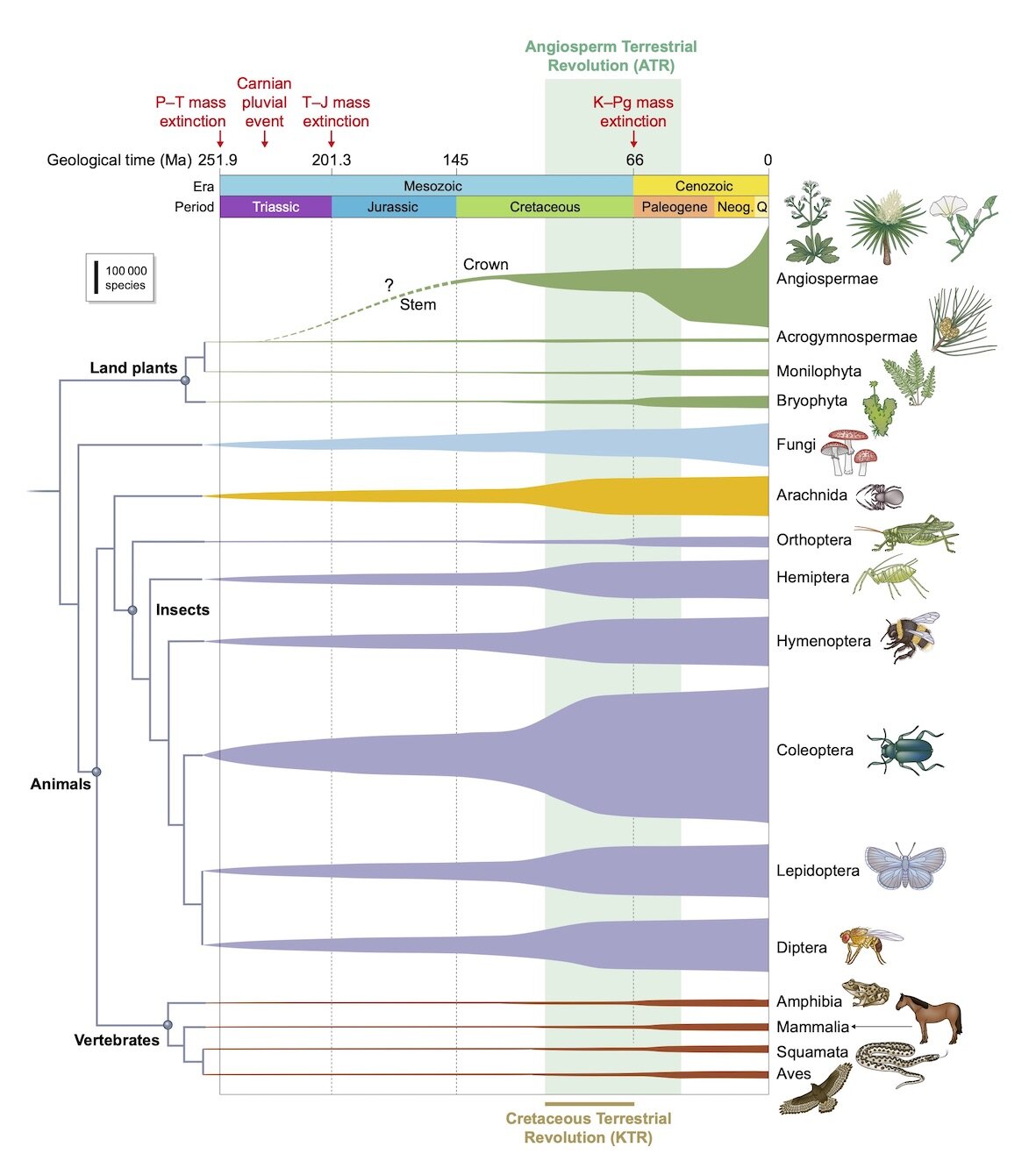 extinct plants in the last 100 years