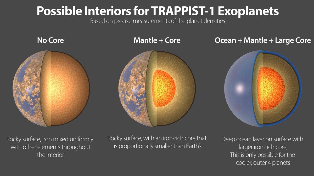 The seven rocky planets of TRAPPIST-1 seem to have very similar