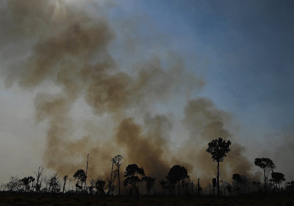 Brazil sets 'worrying' new  deforestation record