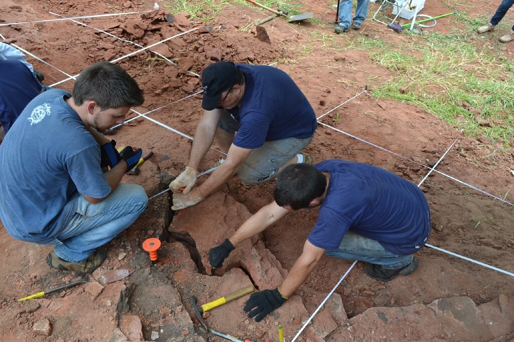 Remains of 'very rare' dinosaur species discovered in Brazil