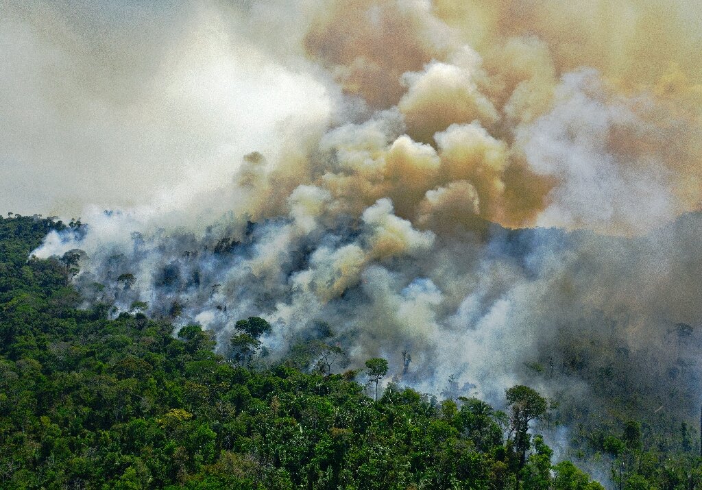 Worst June for Brazil Amazon forest fires since 2007: data