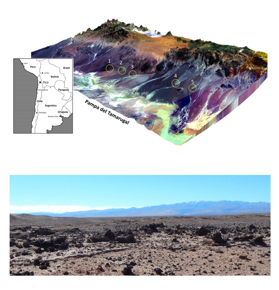 Vast patches of glassy rock in Chilean desert likely created by ancient explodin..