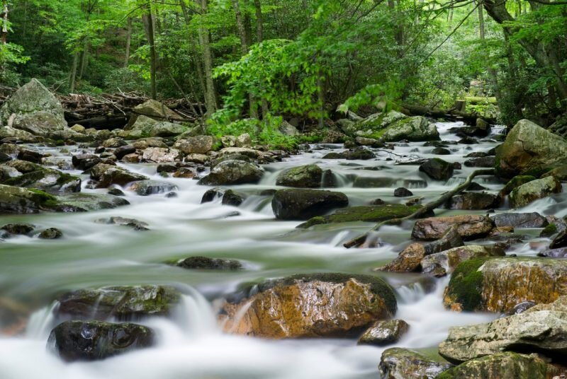 photo of What can stream quality tell us about quality of life? image