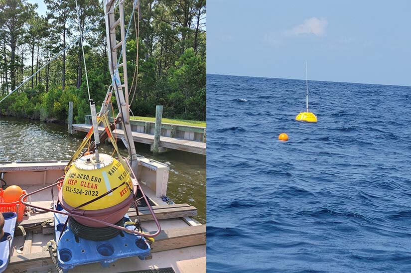 Waverider buoys collect data on the powerful clean energy available in our oceans