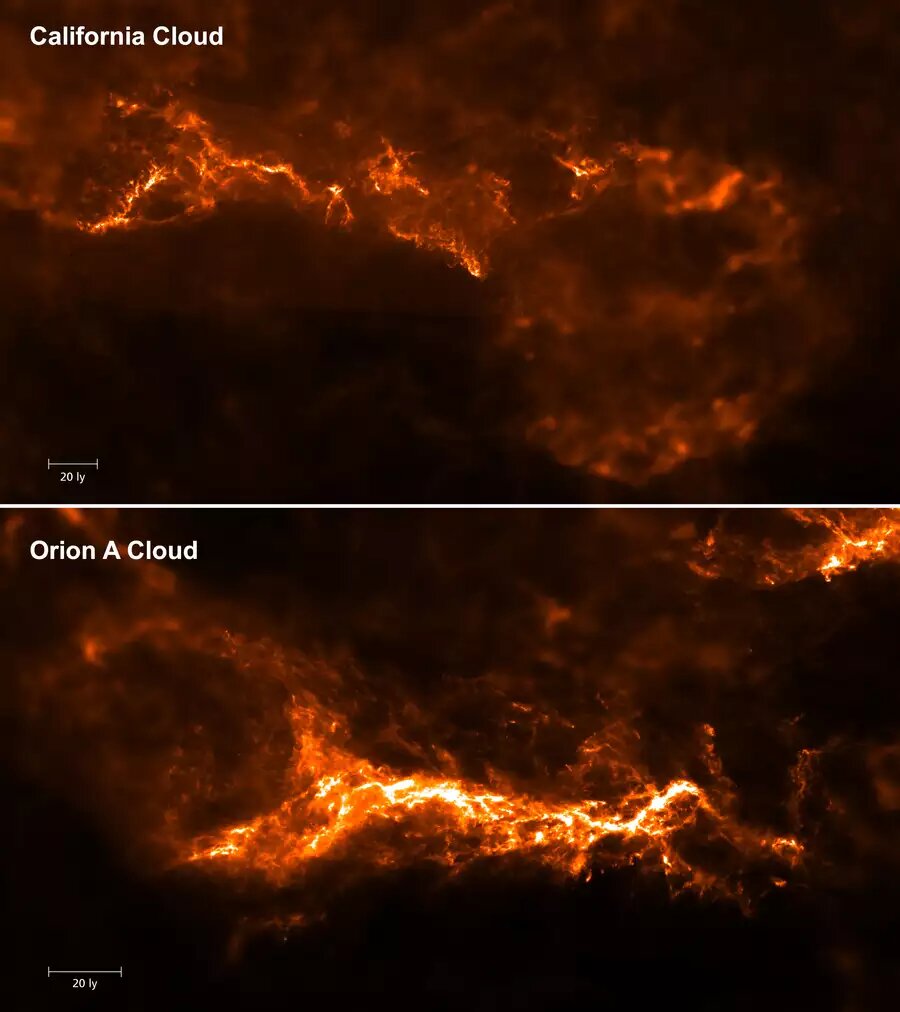 3D reconstruction reveals star formation activities of two dust clouds