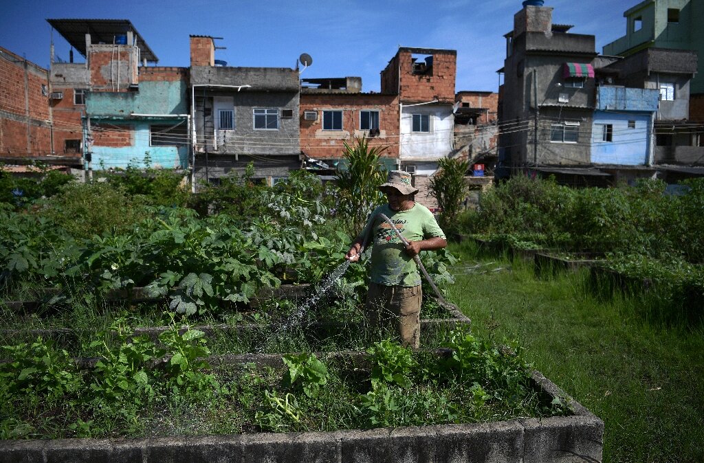 Rio’s urban gardens produce healthy food for the poor