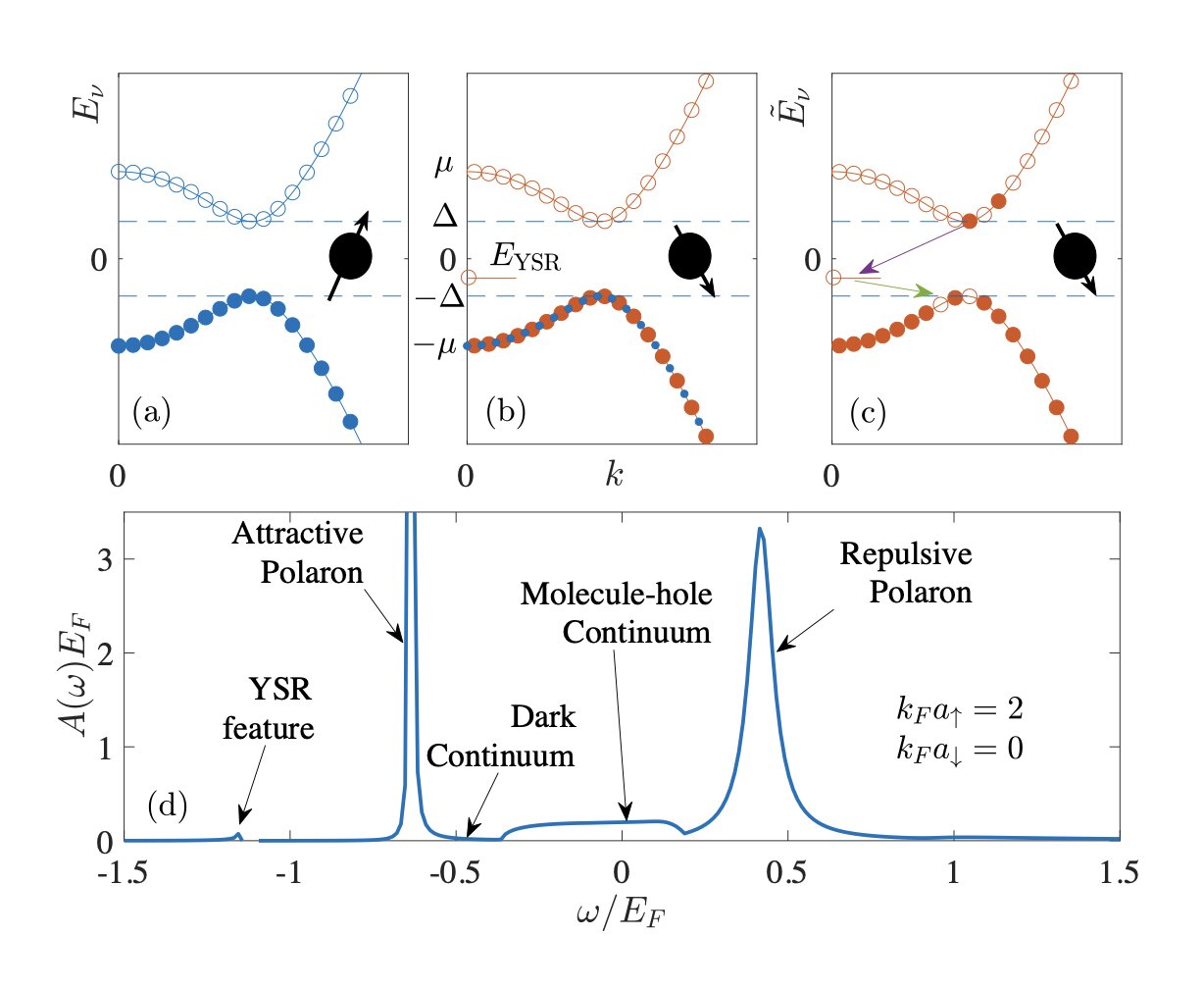 A model that can predict the exact quasi-particle properties of heavy Fermi pola..