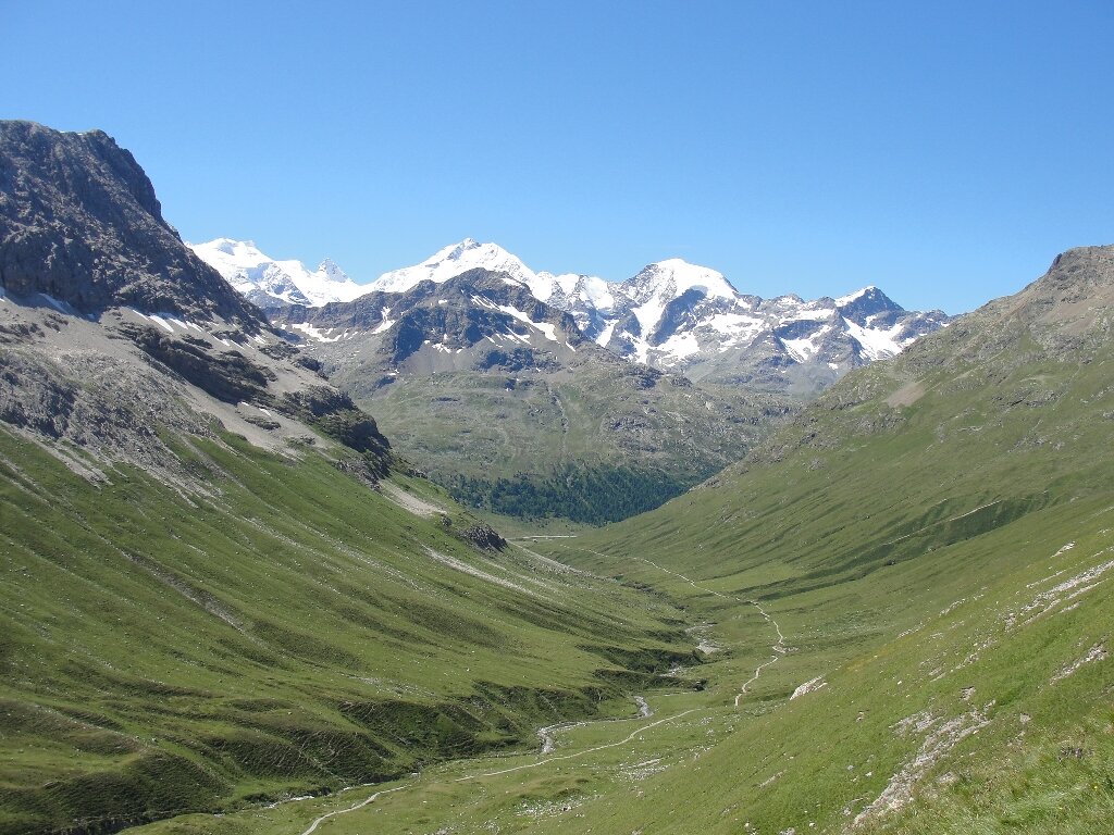 From white to green: Snow cover loss and increased vegetation productivity  in the European Alps