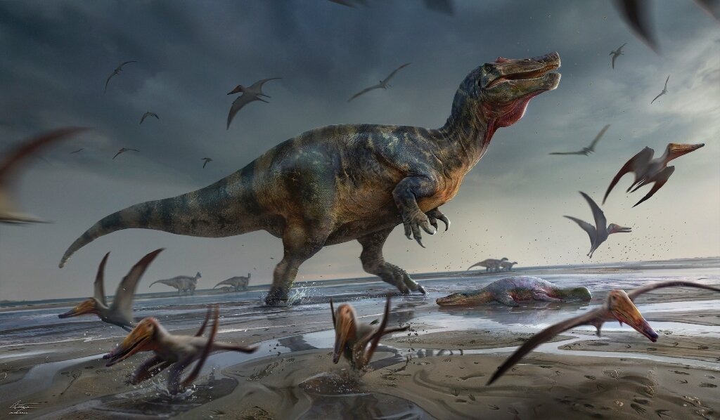 Pemburu fosil Inggris menemukan dinosaurus predator terbesar di Eropa