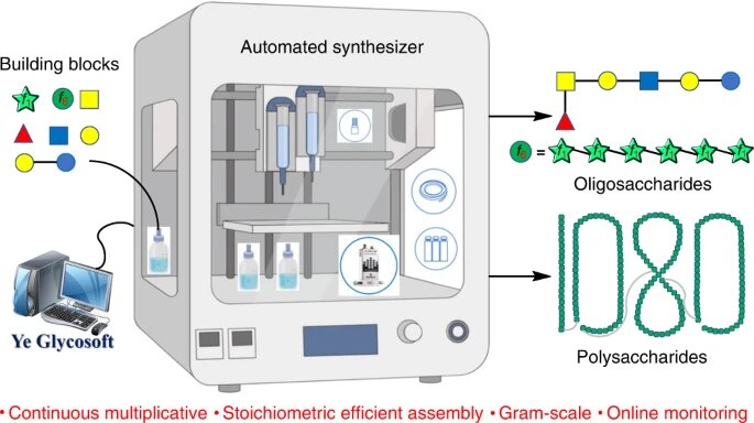 Automated carbohydrate synthesizer produces polysaccharides of record-breaking l..