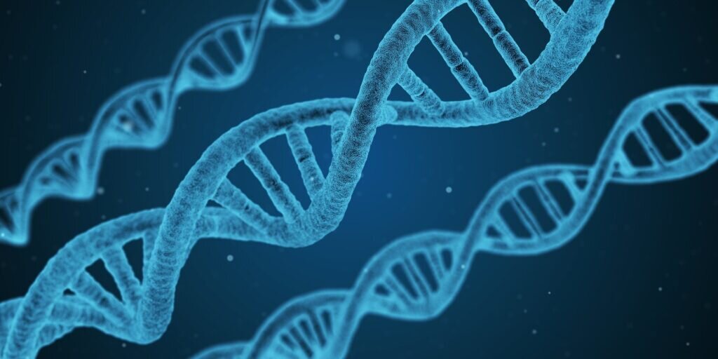 Research team identifies new mechanism for protecting DNA