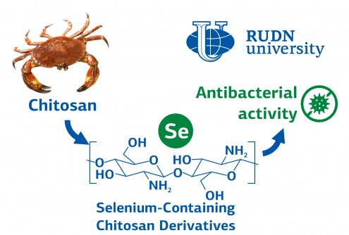 Chemists synthesize an antimicrobial compound from harmless chitin and selenium