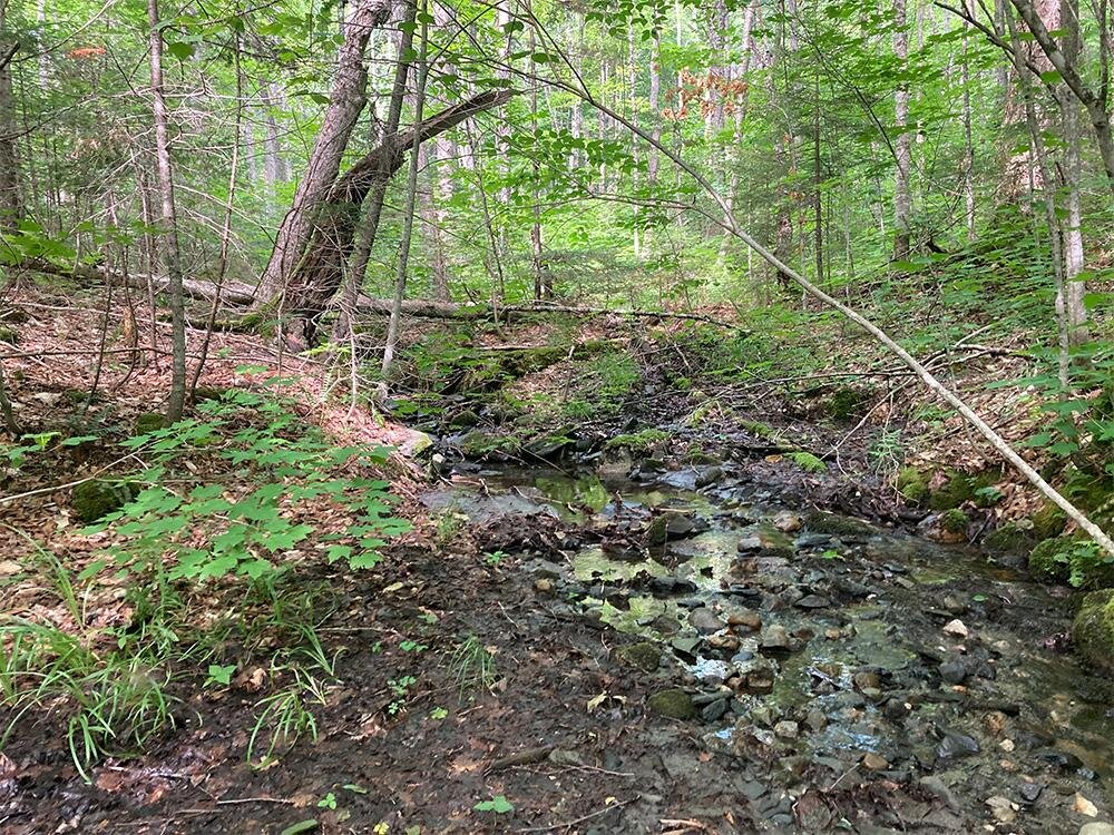 Climate plays large role in carbon release from streams, researchers find