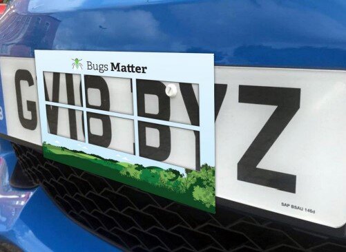 Counting bug splats on vehicle license plates shows numbers of flying insects ha..