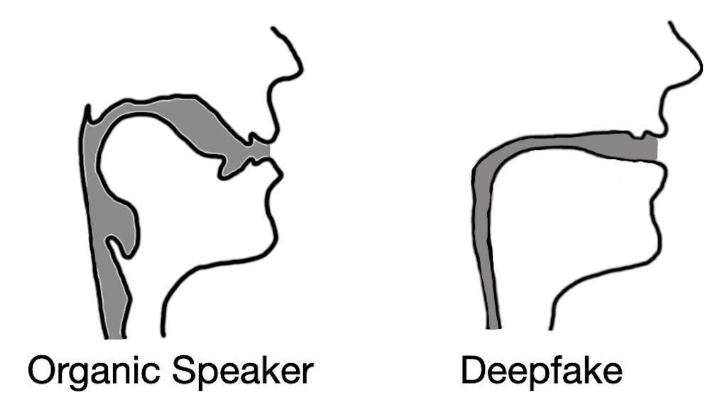 Deepfake audio has a tell: Researchers use fluid dynamics to spot artificial imposter voices