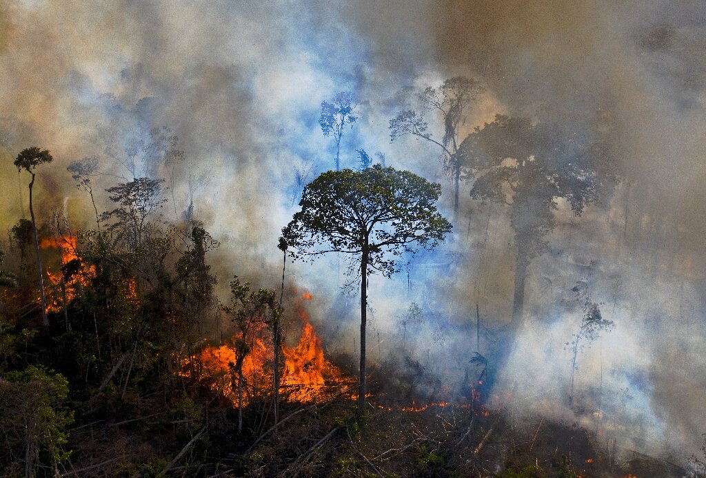 Brazilian Amazon deforestation falls, but up 60% under Bolsonaro