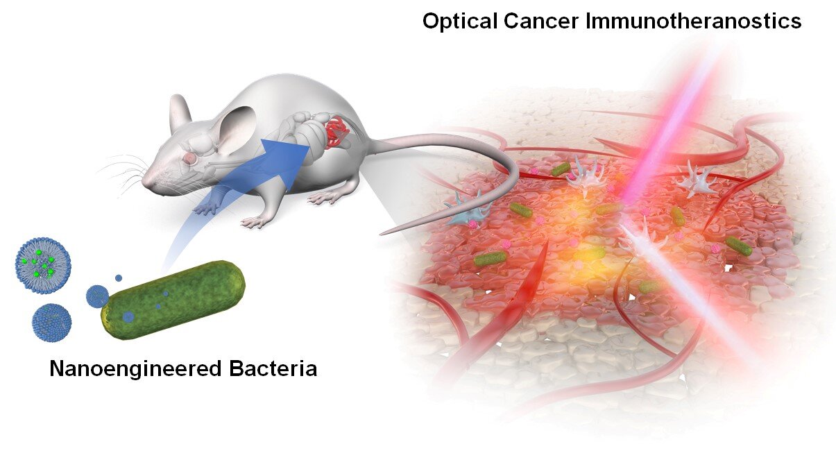 Improvement of nanoengineered micro organism for most cancers optotheranostics