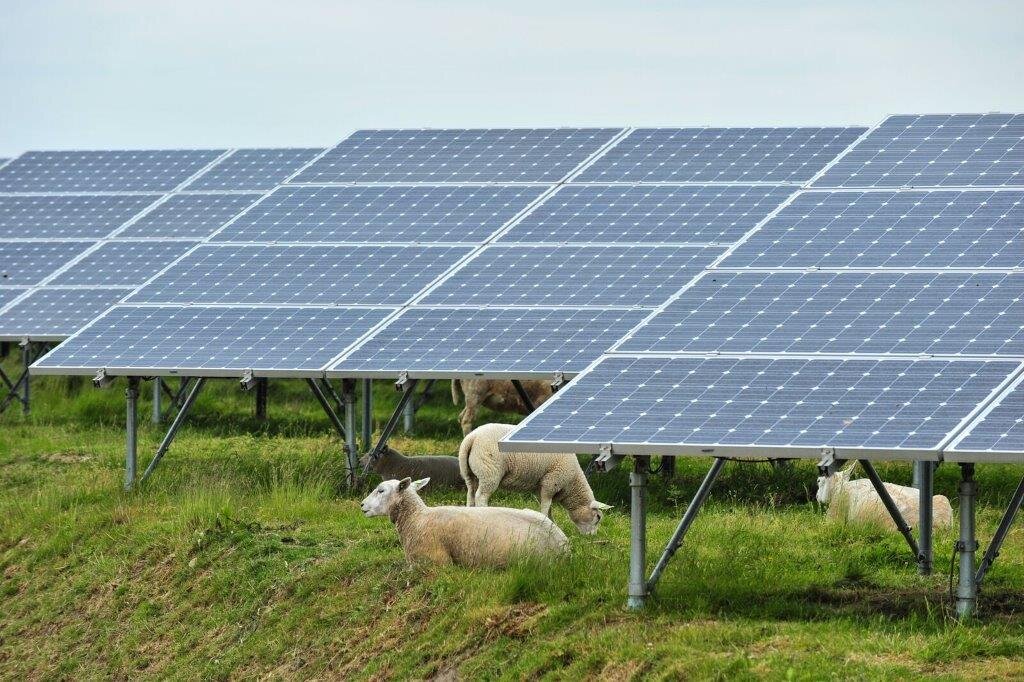 #Emerging technology allows solar panels and agriculture to coexist, but legal hurdles remain