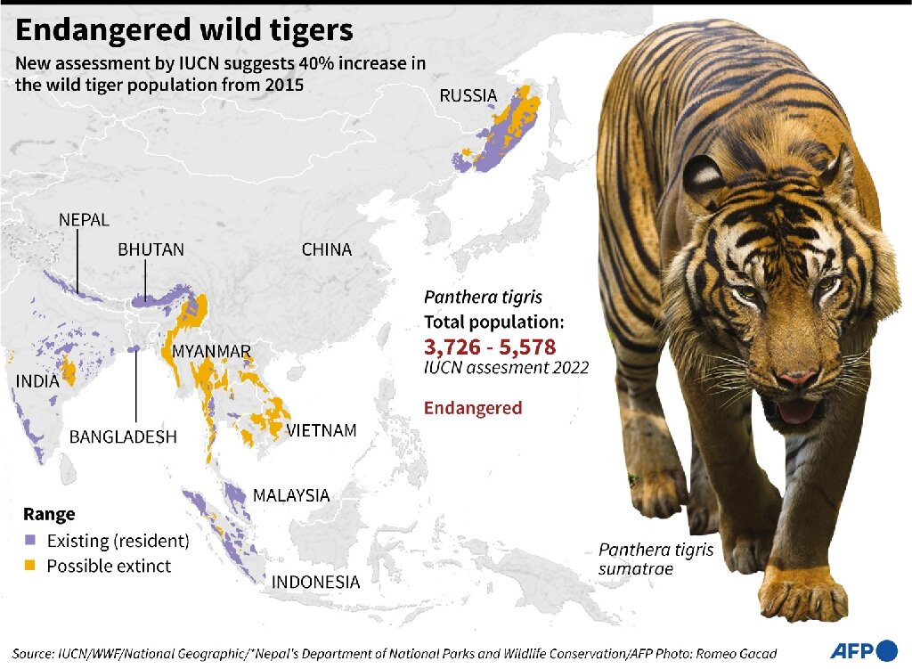 How Tigers Evolved and Distributed across the World