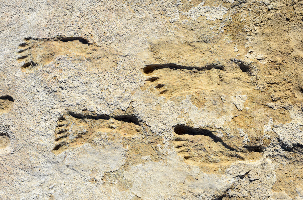 Footprints claimed as evidence of ice age humans in North America need better da..