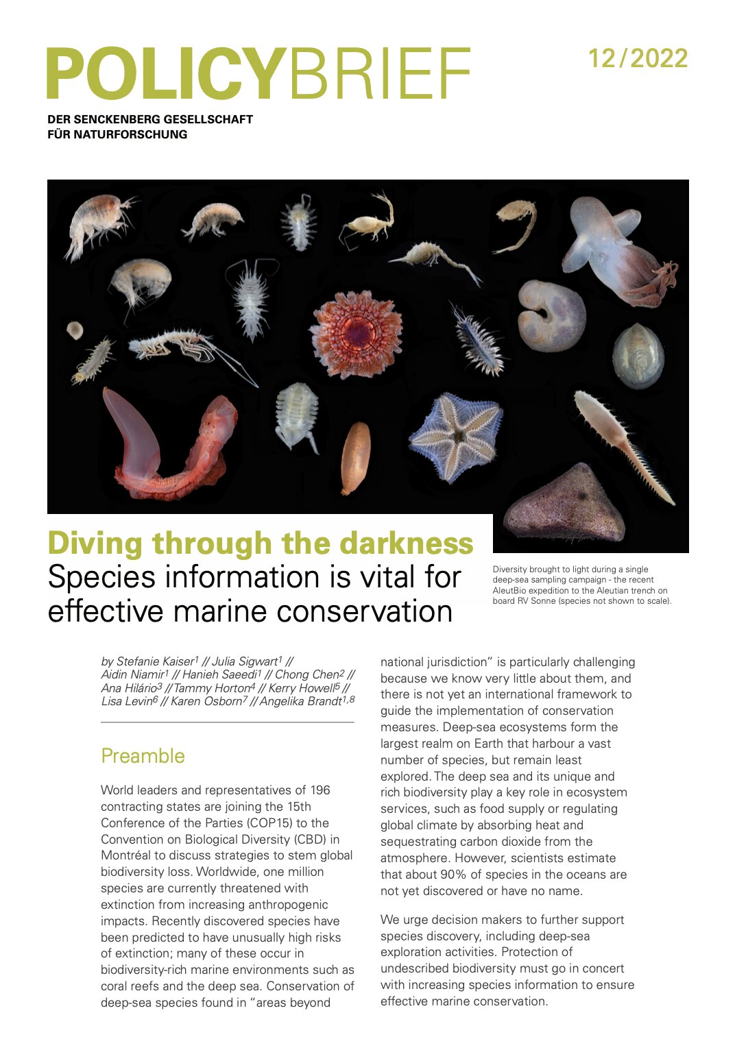 #Experts urge COP15 policy makers to support research to find, catalogue, protect disappearing deep-sea species