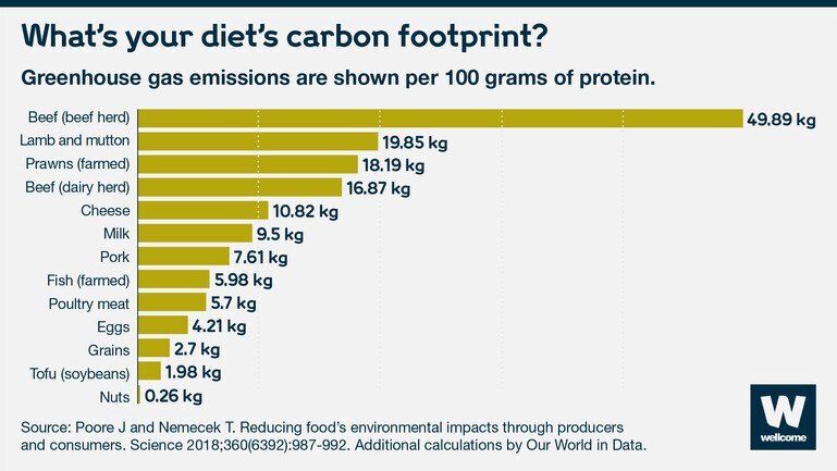 GRAIN  How much of world's greenhouse gas emissions come from agriculture?
