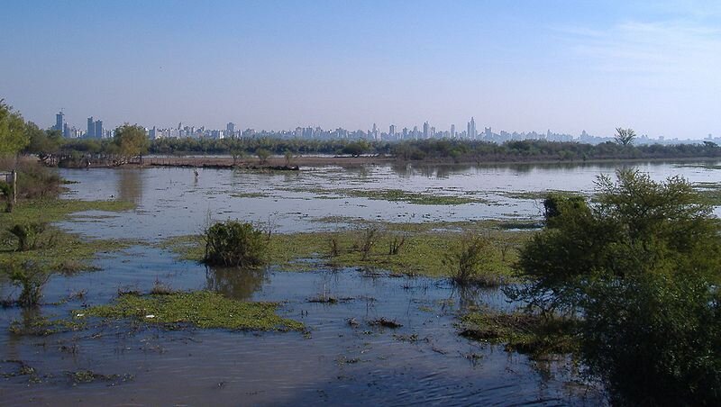 photo of Large-scale study of Brazilian wetlands shows biodiversity loss undermines ecosystem functioning image
