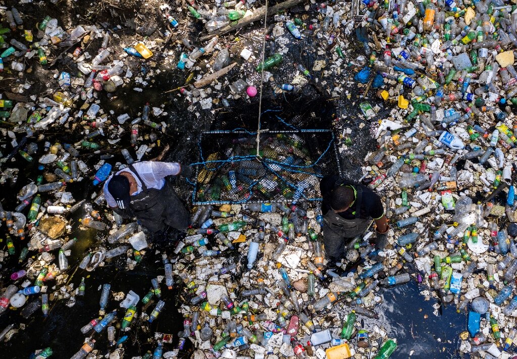 Science Says Plastics Pollution