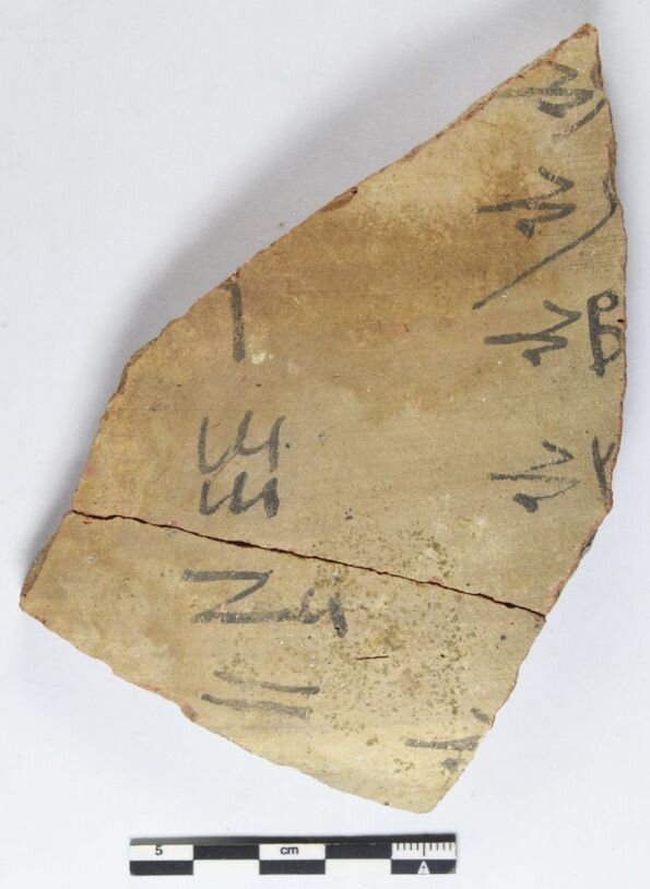More than 18,000 pot sherds document life in ancient Egypt