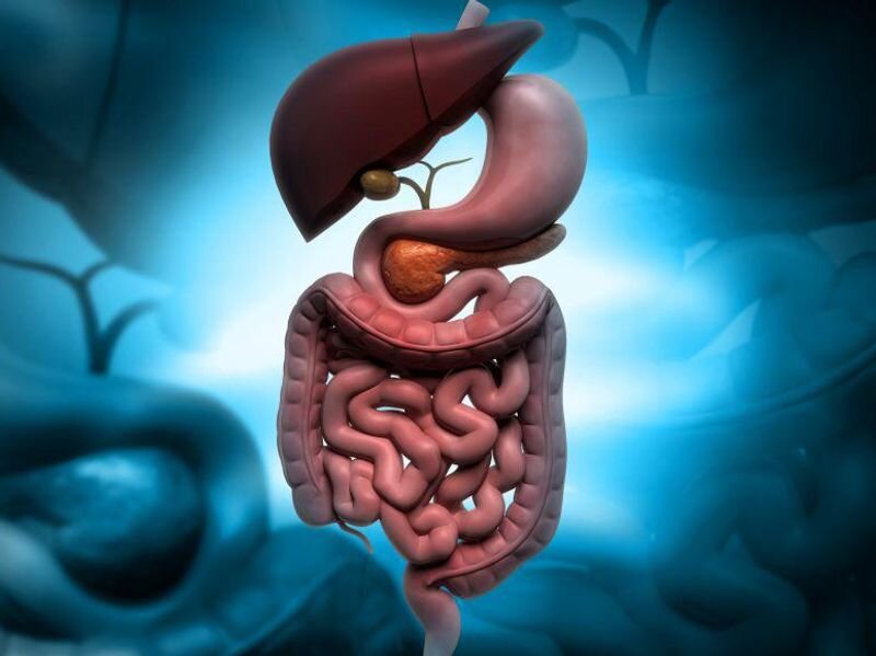 El histograma puede ayudar a predecir la supervivencia en el linfoma no Hodgkin intestinal primario