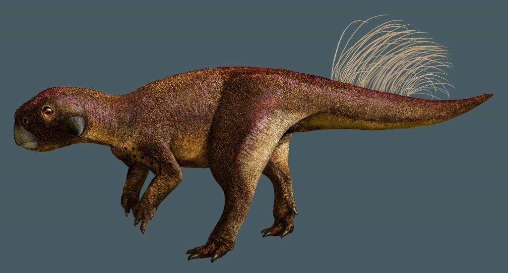 Paleontólogo revela ombligo de dinosaurio usando imágenes láser