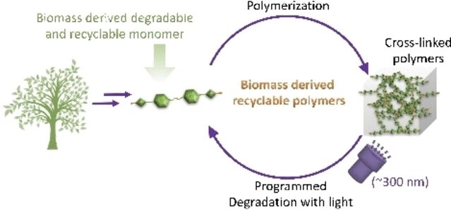 Developing a degradation-triggerable plastic made of vanillin