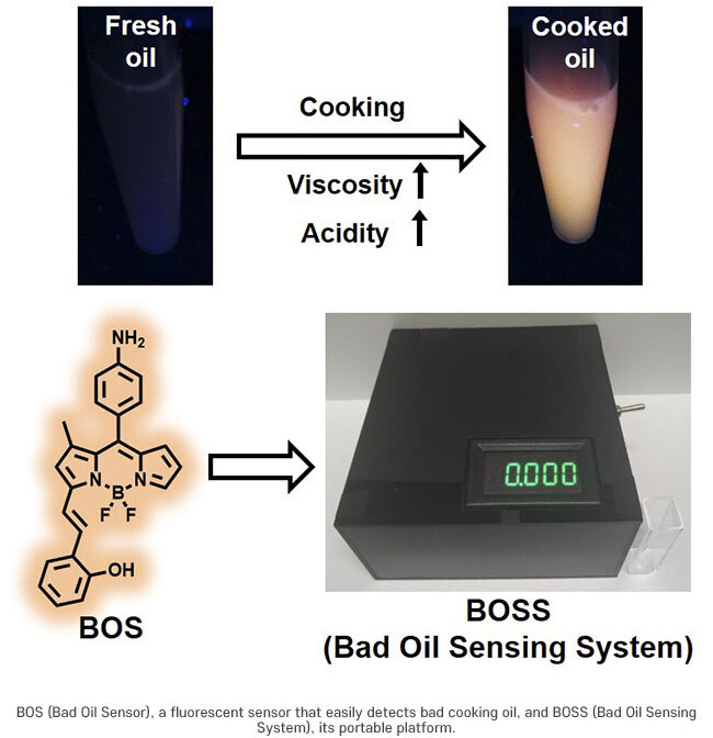 Portable fluorescent probe identifies bad cooking oil
