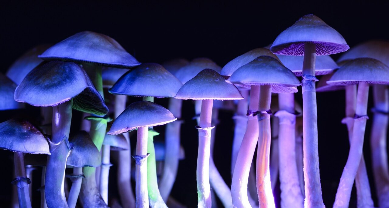 Australia to legalise MDMA and magic mushrooms for medical use