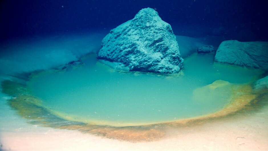 اكتشاف برك مياه مالحة نادرة في البحر الأحمر