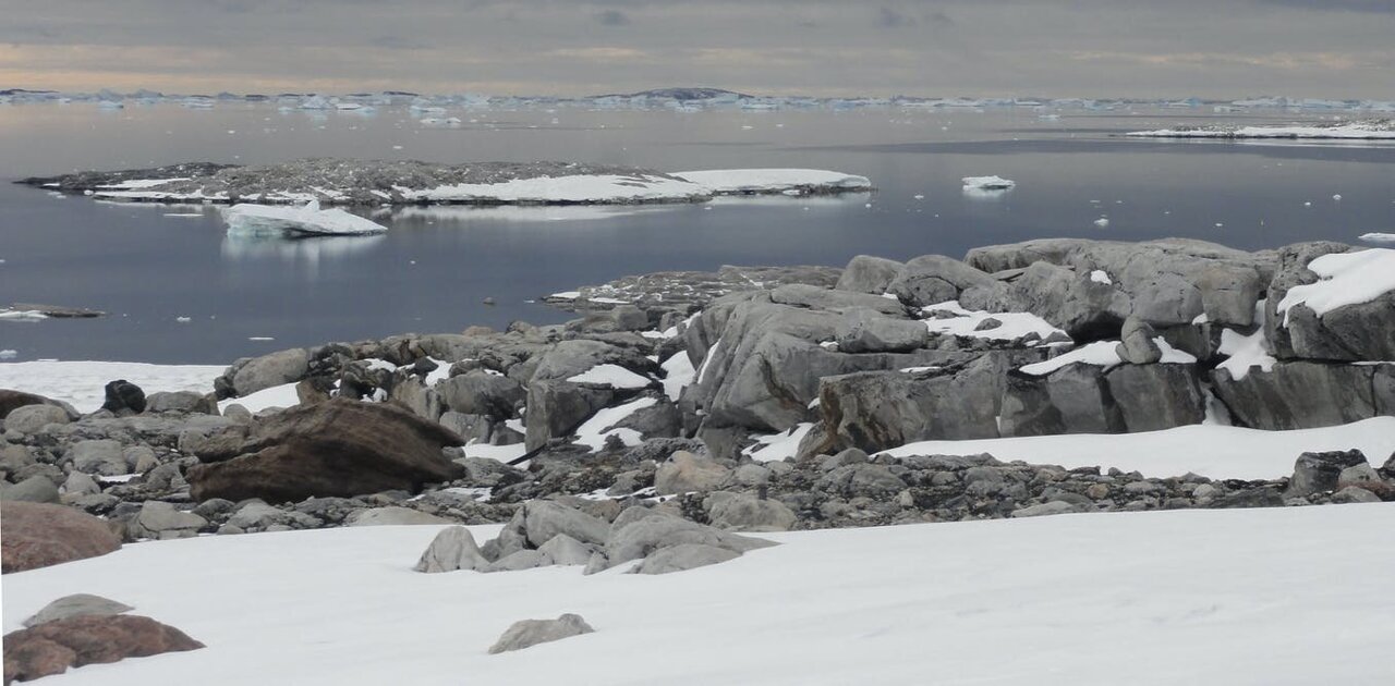 Antarctic sea ice hits 'record-smashing' low coverage area, new