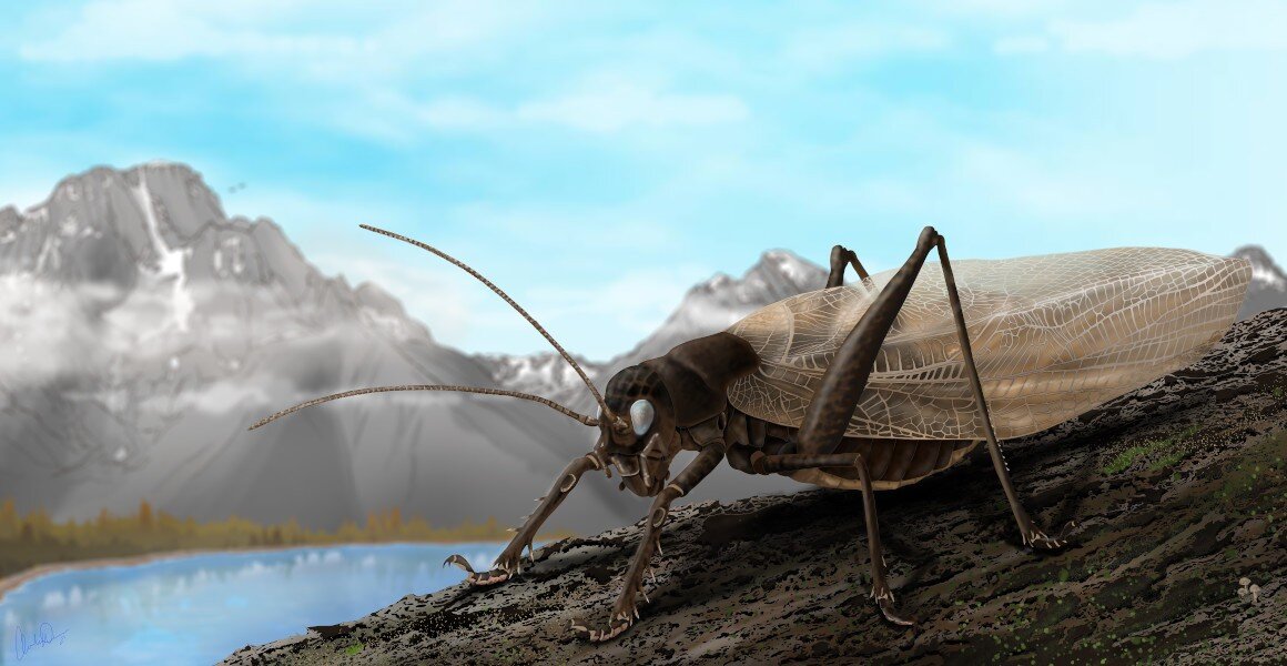 Listen to the call: Scientists recreate the song of a 150-year-old insect that c..