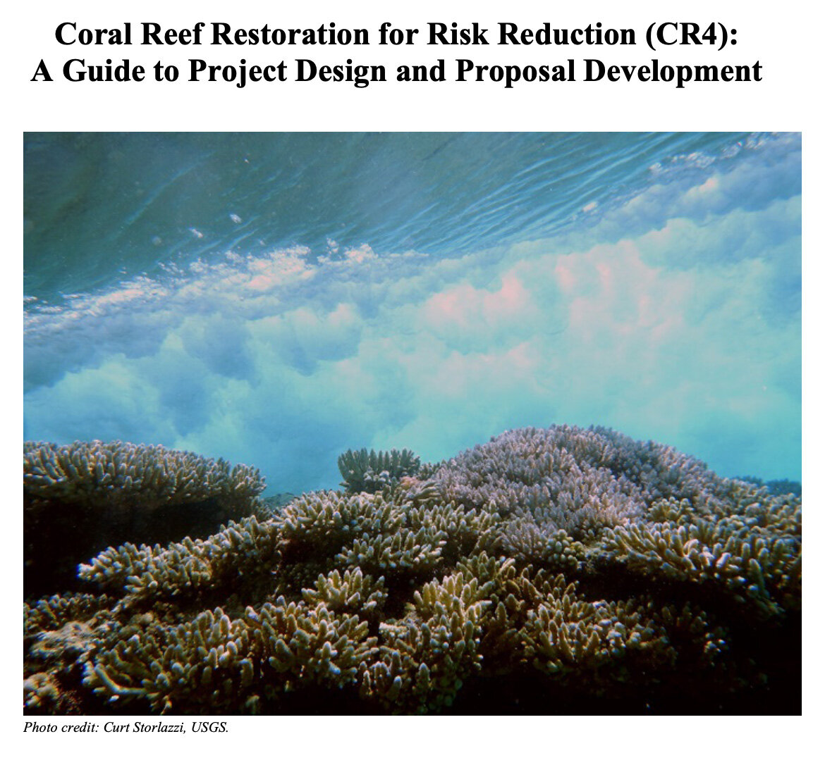 Coral – Take Risks And Prosper