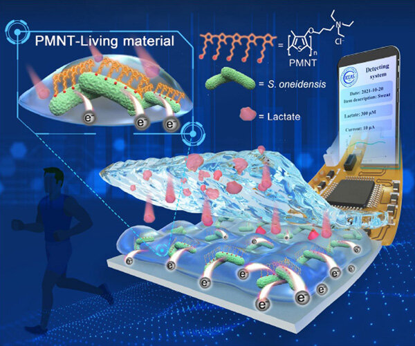 Flexible bioelectronic device based on living material for monitoring lactate and tumor cells