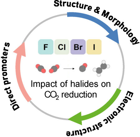 Researchers review impact of halides on electrochemical carbon dioxide reduction