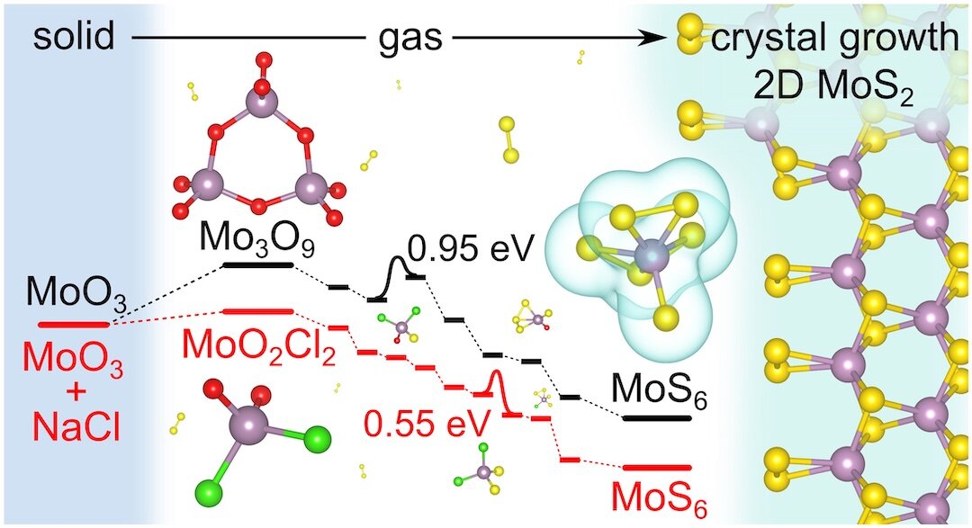 Study details why 2D molybdenum disulfide formation gets a speed boost from salt