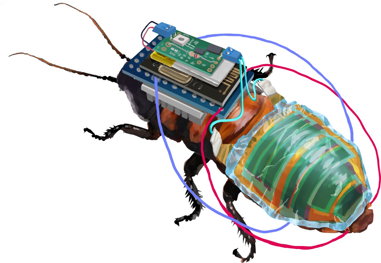 Robo-bug: A rechargeable, remote-controllable cyborg cockroach
