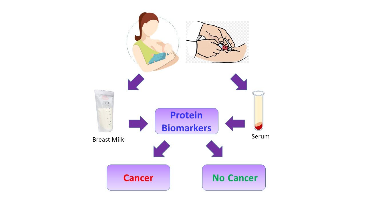 The Biochemistry of Breast Cancer Screening