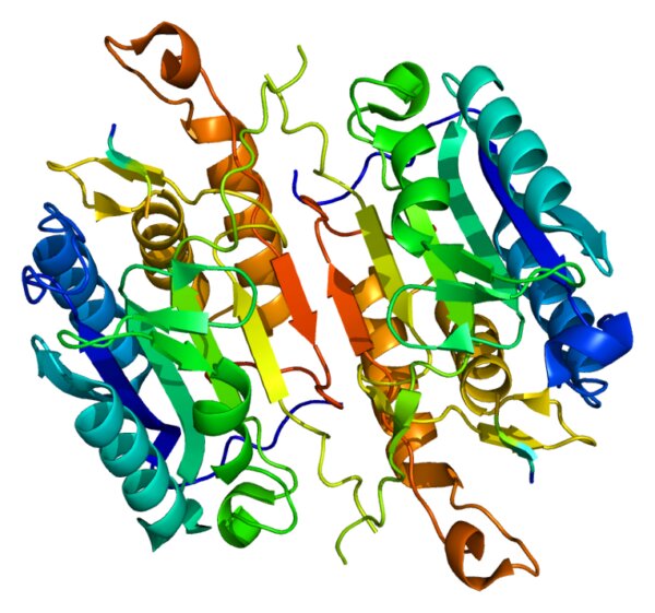 #Scientists reveal function of cell death enzyme capsase-7