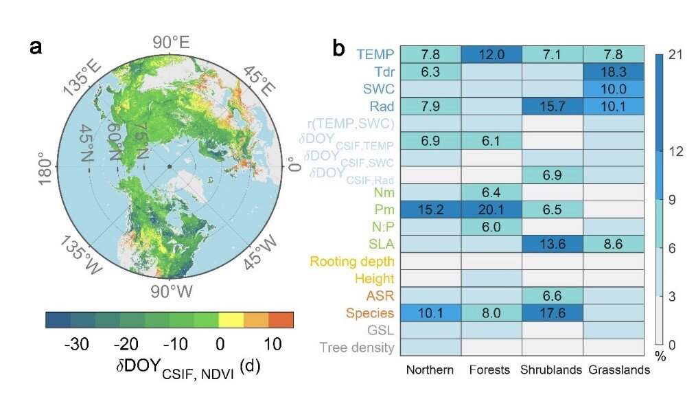 Badanie ujawnia sezonowe szczyty fotosyntezy, które były hamowane przez późną ewolucję baldachimu w ekosystemach borealnych