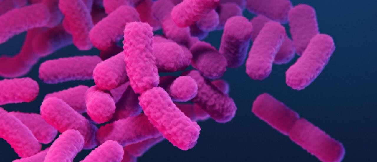 Study unlocks key to success of drug-resistant bacteria