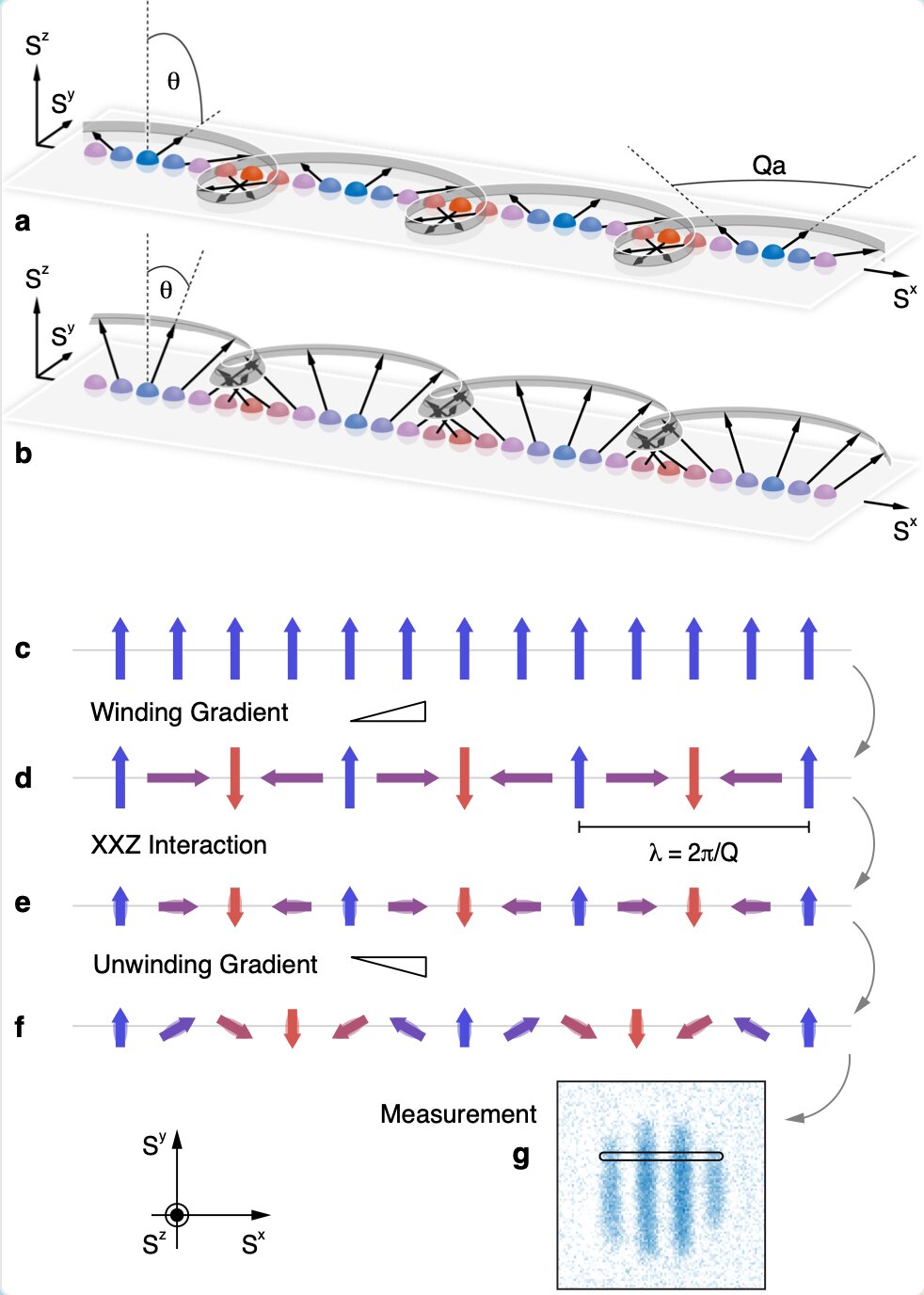 The experimental observation of long-lived phantom helix states in Heisenberg quantum magnets  