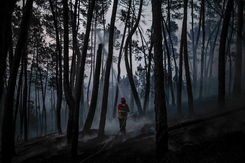 #Portugal battles forest fires amid heatwave