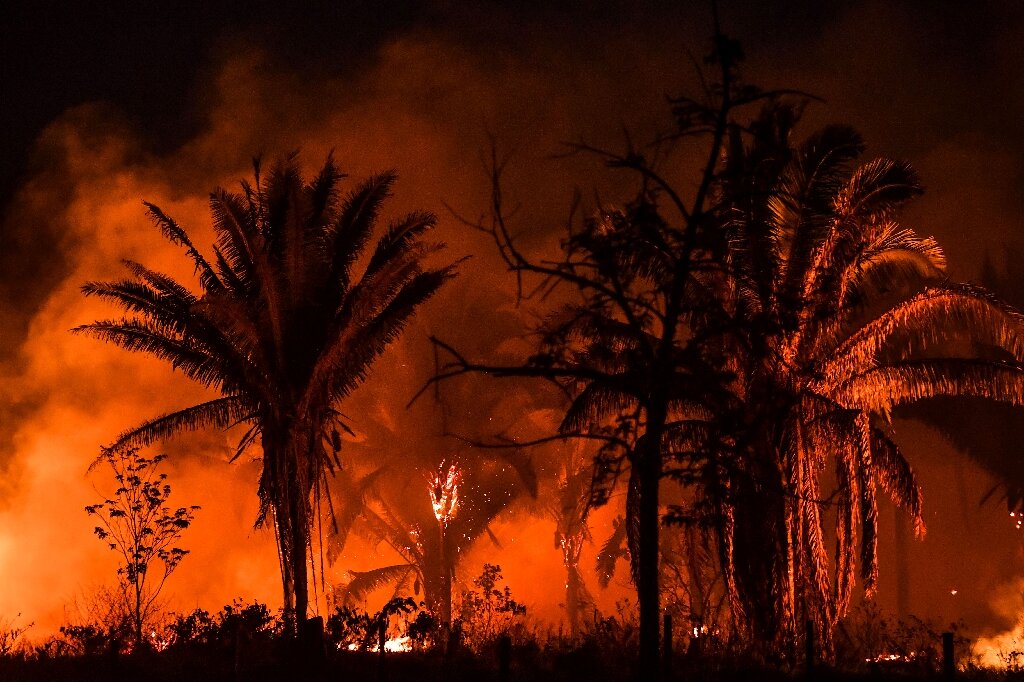 #Brazil records worst day for Amazon fires in 15 years